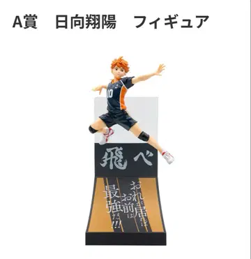 하이큐 히나타 쇼요 피규어 A상 캔뱃지 세트