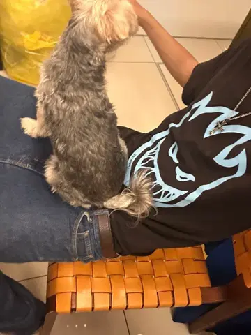 스핏파이어 T셔츠