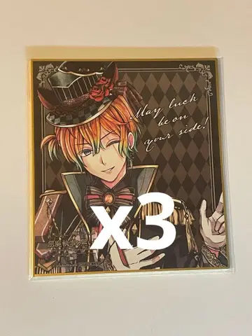 악마 집사와 검은 고양이 색지 테디 브라운