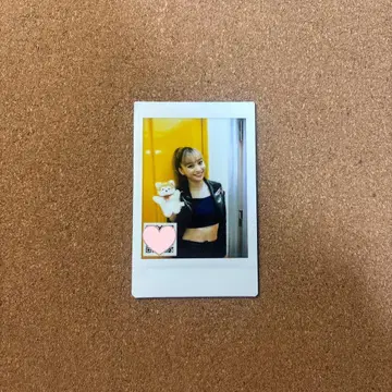 카나야 마리야 폴라로이드 GENIC