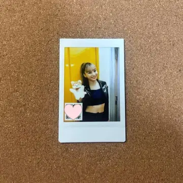 카나야 마리야 폴라로이드 GENIC