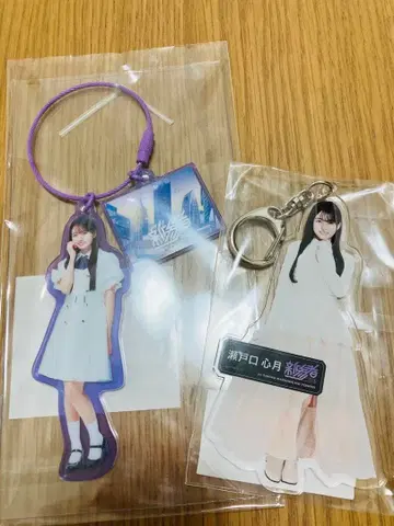 노기자카46 세토구치 신츠키 신참자 아크릴 참&키링