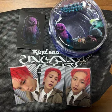 SHINee keyland uncanny valley 사우체 혜택