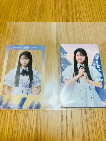 노기자카46 세토구치 신츠키 신참자 카드 세트