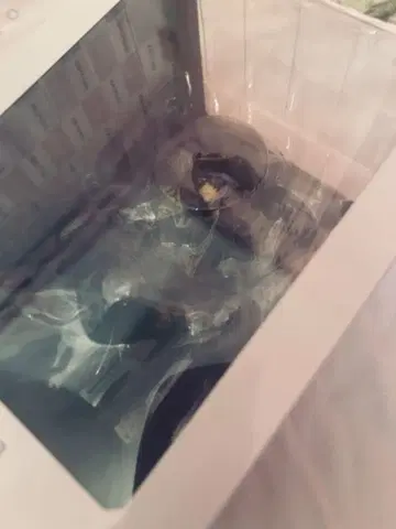 디즈니 트위스티드 원더랜드 아즐 논스케일 피규어