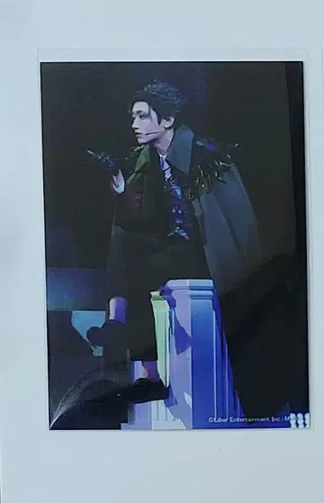 에이스테 스테쇼 츠무기