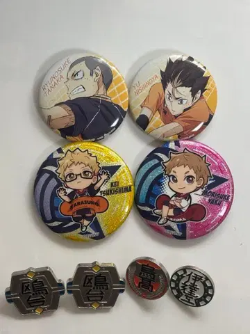 하이큐 캔뱃지&핀뱃지 세트 (낱개 판매 가능)