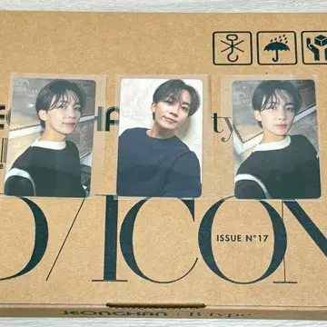 SEVENTEEN 정한 DICON Btype 트레이딩 카드