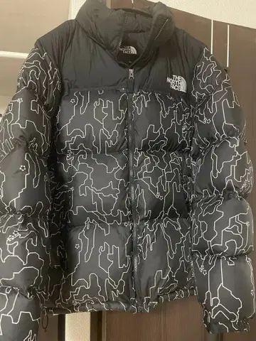 THE NORTH FACE 다운 자켓 XXL
