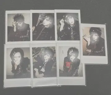 마미레타 벌 체키 7장 세트