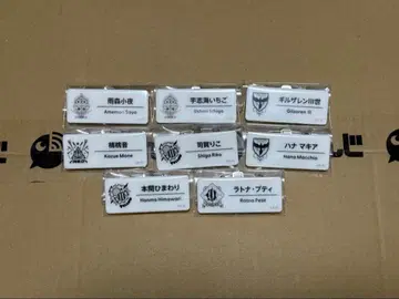 니지산지 니지페스 2025 네임 배지 묶음 판매