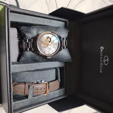 오리엔트 스타 한정판 모델