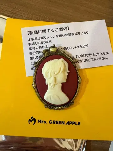 Mrs. GREEN APPLE 바벨 카메오 핀즈