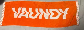 Vaundy 타월 오렌지