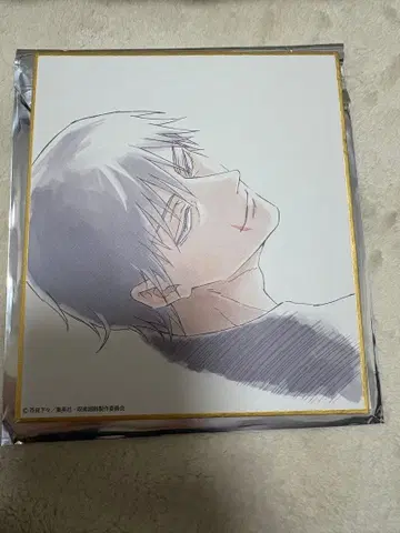 주술회전전 후시구로 토우지 블랙 블라인드 미니 색지 회옥옥절