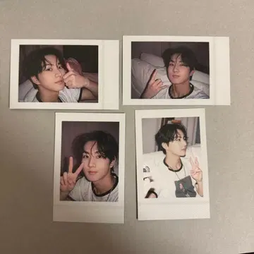 ENHYPEN DICON 폴라로이드 정원