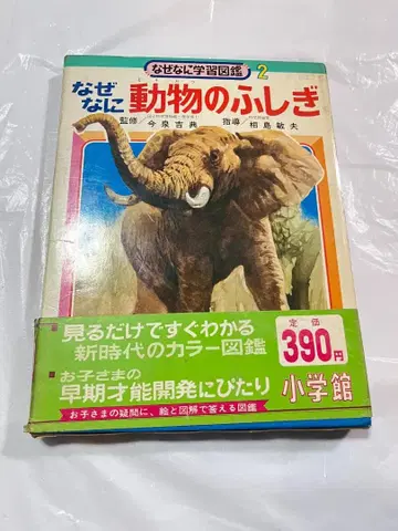 오비 포함 소학관 왜왜 학습도감 2 동물의 신비