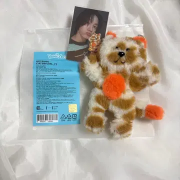 BOYNEXTDOOR 보넥도 푸넥도 키링 케피 손호 트레이딩 카드