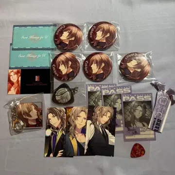 다이너 토키아키 정리