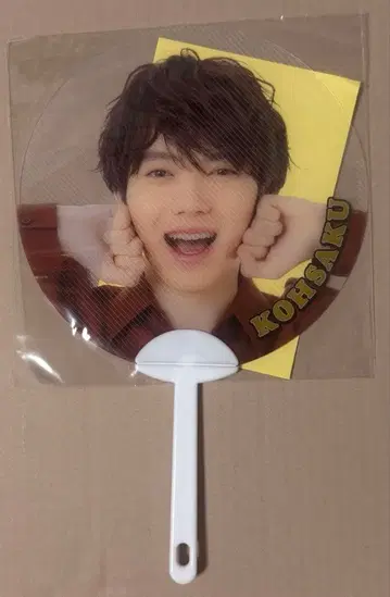 원인은 자신에게 있다. 코이즈미 히카루 에비단 더 파레데 에비파레 부채