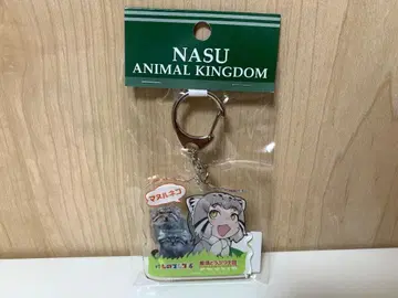 케모노 프렌즈 콜라보 한정판 아크릴 키링 마눌고양이 1