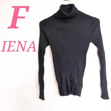 IENA 터틀넥 스웨터 블랙 슬림 실루엣 캐주얼 코디