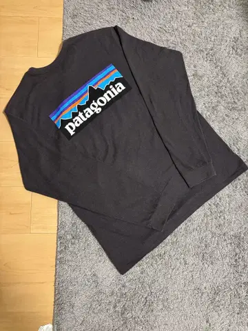 patagonia 긴팔 T셔츠 (M)