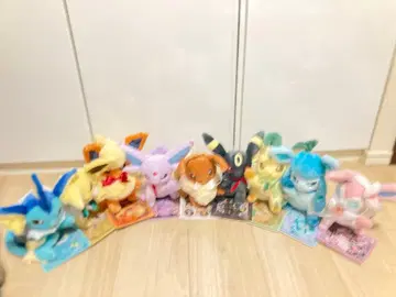 포켓몬 이브이 컬렉션 2025 봉제 인형 9종 세트