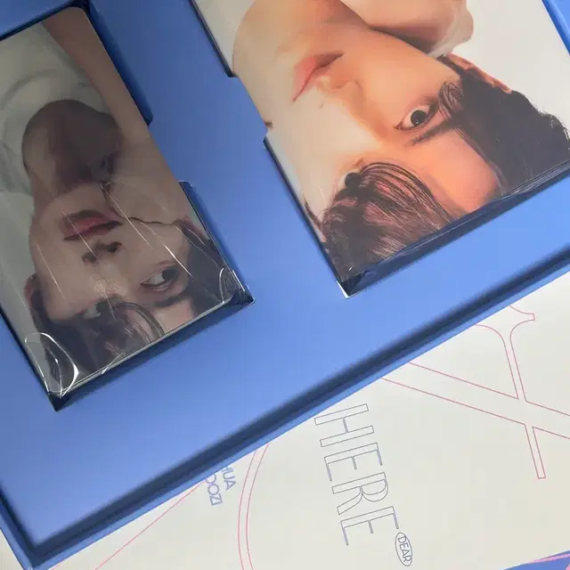 세븐틴 준 캐럿반 준 라잇히어 양도