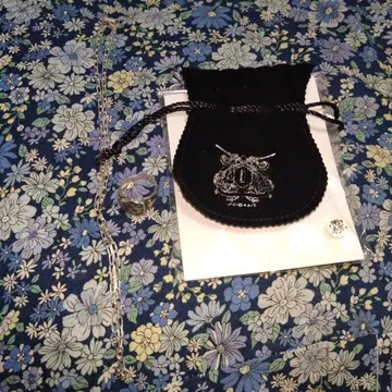 가정교사 히트맨 REBORN 봉고레 반지풍 목걸이 안개의 반지