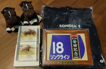 송라인 아이돌 호스 아크릴 오브제 미니 렛츠 경마 굿즈