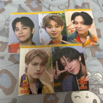 원엔 ONE N' ONLY 트레이딩 카드 Fiesta