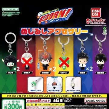 [ 낱개 판매 가능 ] 가정교사 히트맨 REBORN 메지루시 액세서리