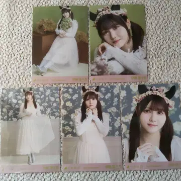 이토 리리아 개별 브로마이드 할로윈 2025