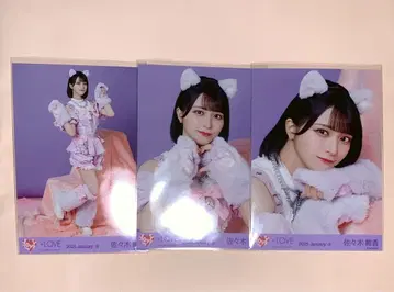 이코라부 사사키 마이카 생사진 컴프 고양이 의상