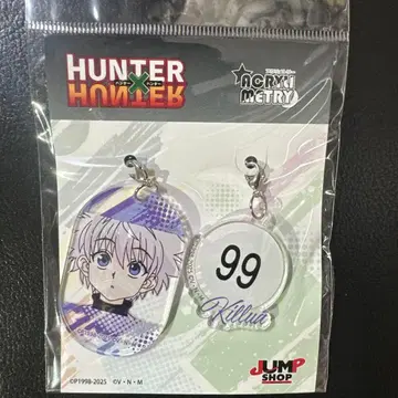 HUNTER x HUNTER 헌터헌터 아크릴메트리 키루아