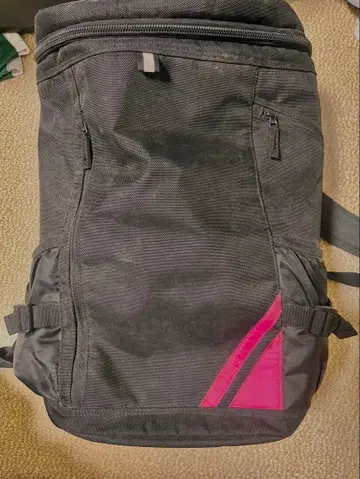 일본대학 명성고등학교 지정 럭색