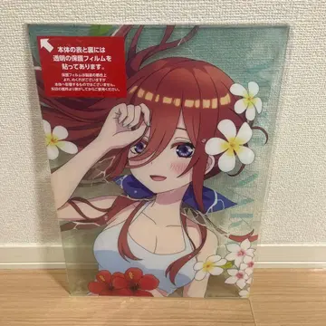 [ 미개봉 새상품 ] 나카노 미쿠 A3 클리어 보드 C상