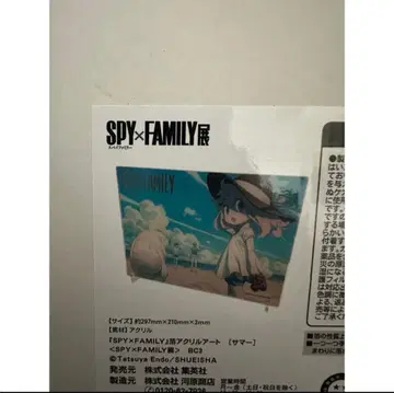 스파이 패밀리 SPY x FAMILY 전 아크릴 아트