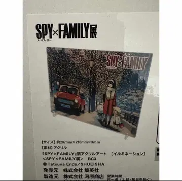 스파이 패밀리 SPY x FAMILY 전 아크릴 아트