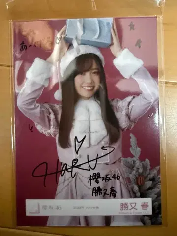 사쿠라자카46 카츠마타 하루 2025년 산타 의상 친필 사인 츄