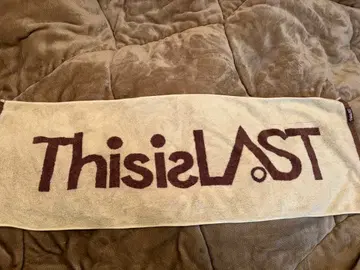 ThisisLAST 타월 베이지