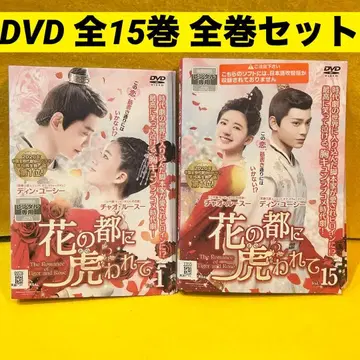 꽃의 도시에 사로잡히다 DVD 전15권 전권 세트 중국 드라마