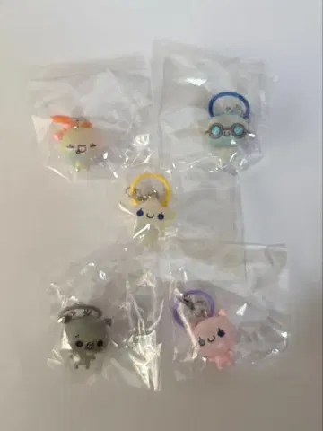 아와와짱 메지루시 5세트