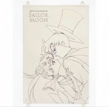 [ FC 한정판 ] 세일러문 패브릭 포스터