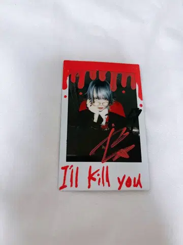 마큐로 코야 제라 폴라로이드