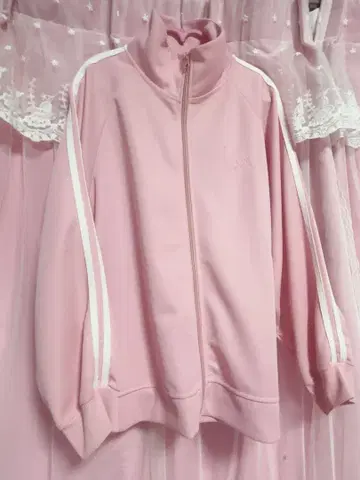 마이멜로디 저지 돈키