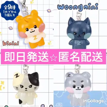 메지루시 비니니 운니니 고니니 리니니