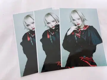 마큐로 코야 제라 브로마이드