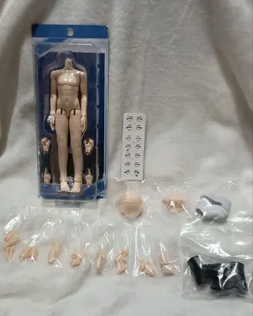 ZACK EVENT 자크 이벤트 바디 블랭크 페이스 외 세트